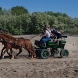 Racing on horse carriage - Puszta Olympics