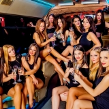 A combination of a bus and a club - Evening Party Bus